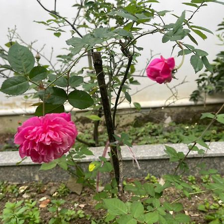 Nhat Long Homestay Хюэ Экстерьер фото