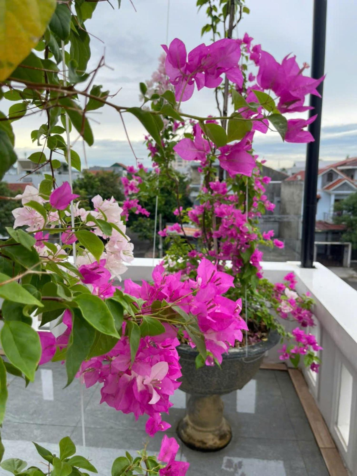 Nhat Long Homestay Хюэ Экстерьер фото
