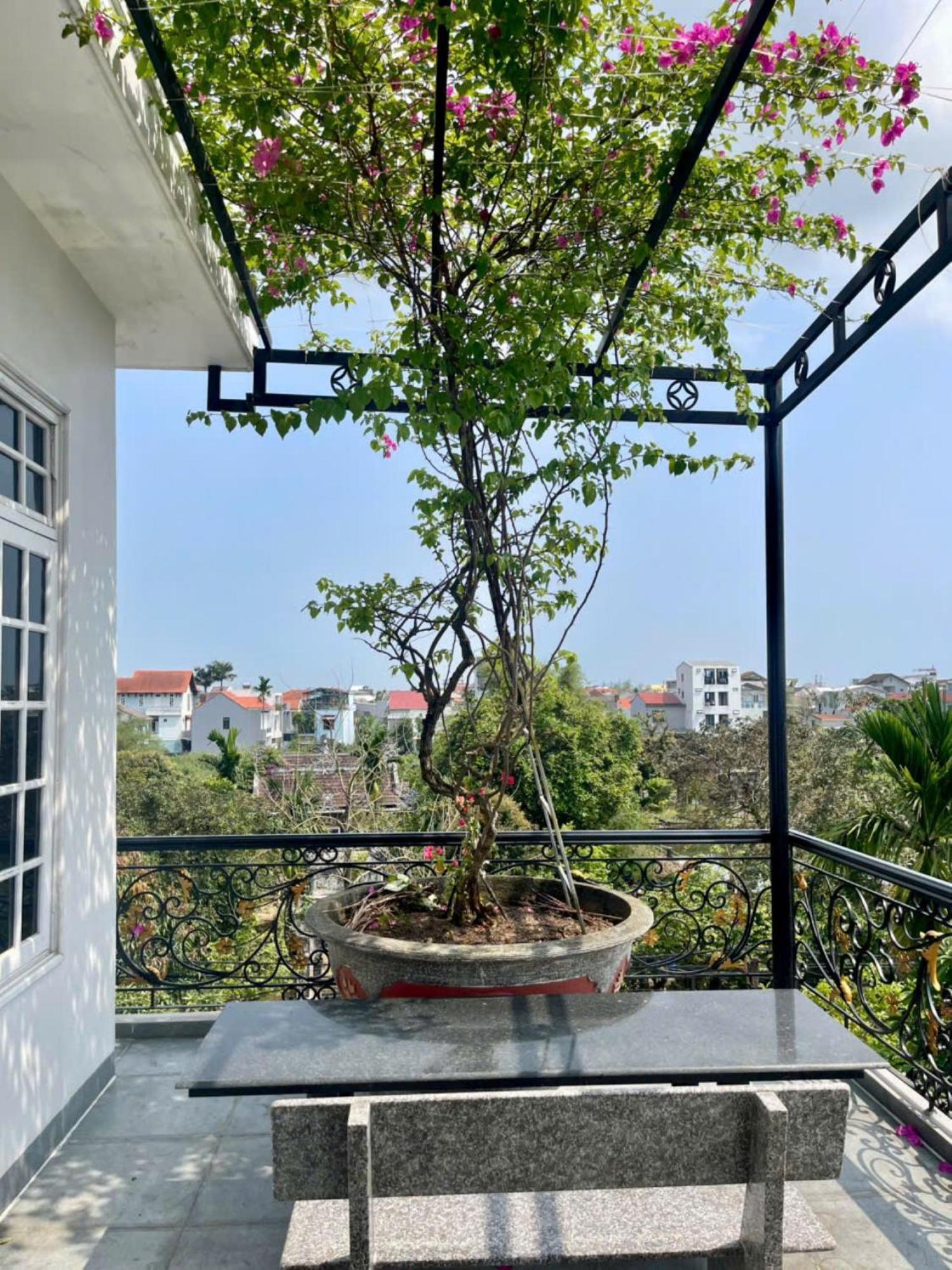 Nhat Long Homestay Хюэ Экстерьер фото